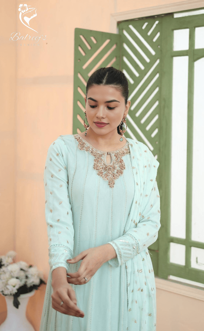 Aliza Embroidered Chiffon Maxi image 1