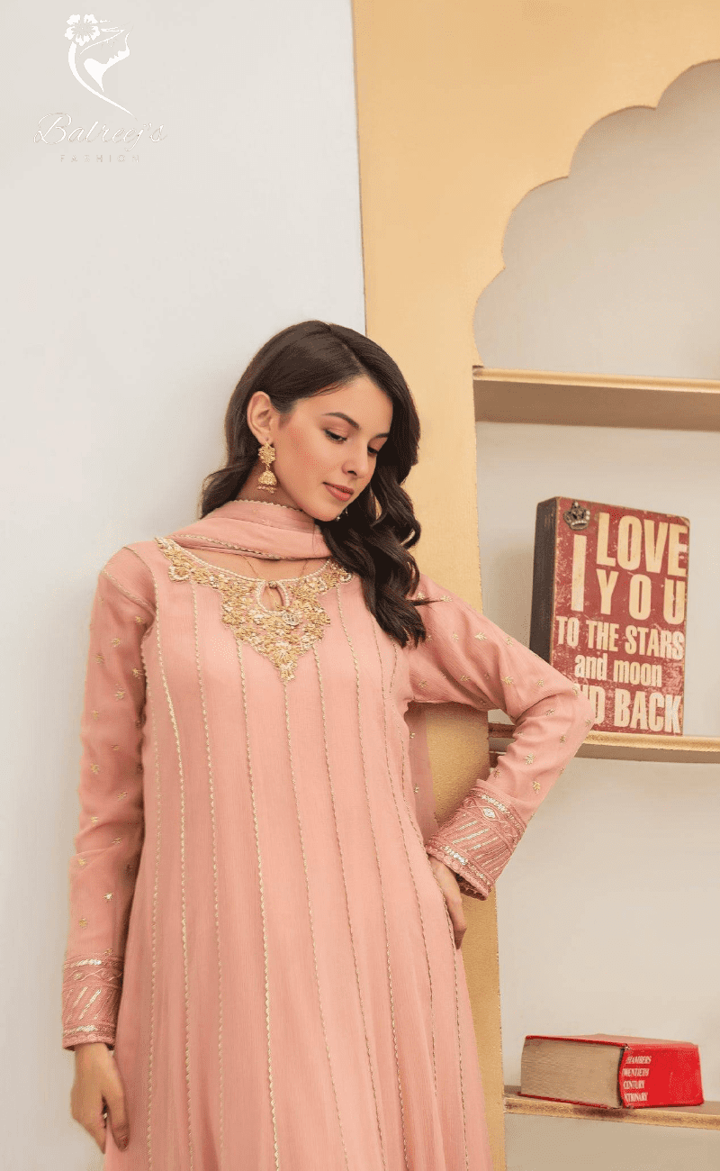 Aliza Embroidered Chiffon Maxi image 1